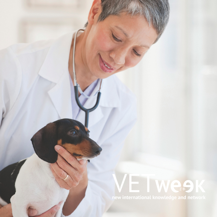 Design uden navn (20)(1)